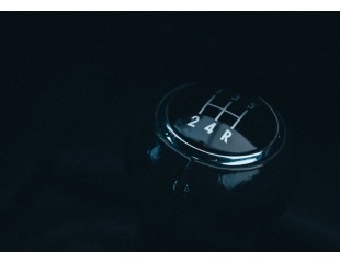 Urna pretium elit mauris cursus Curabitur at elit Vestibulum